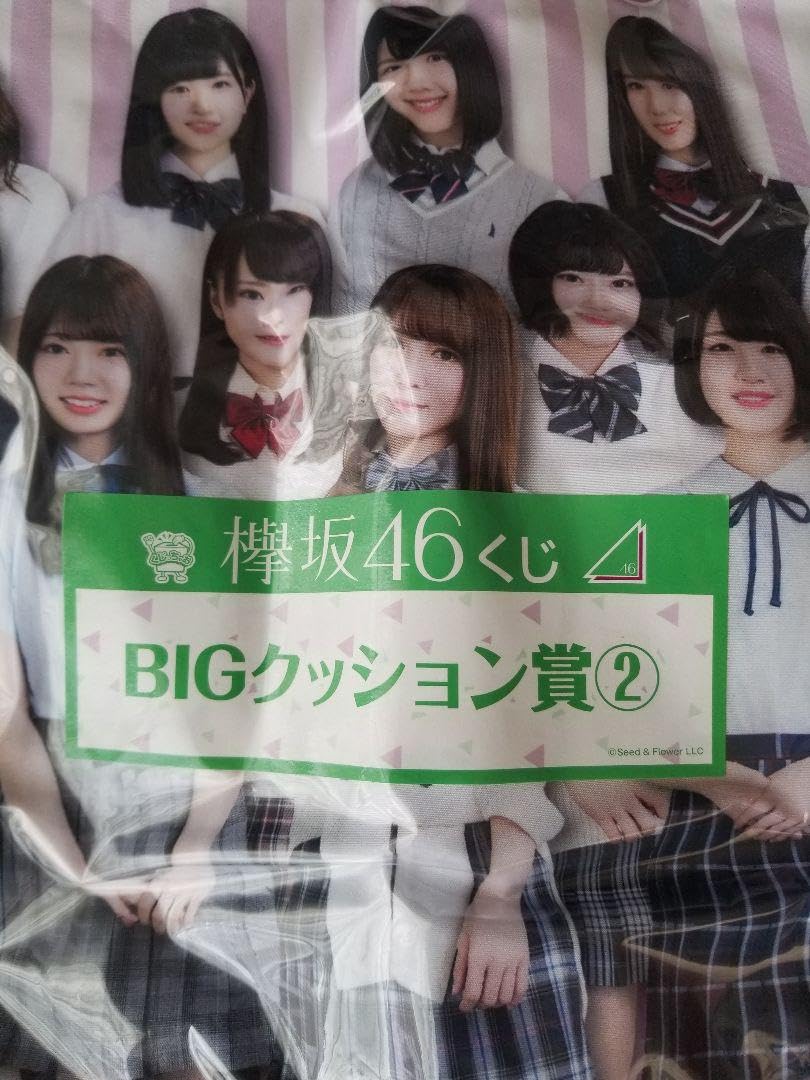 Amazon.co.jp: けやき坂46 欅坂46 ビッククッション : おもちゃ